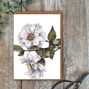 Toasted Crumpet Greeting Card Camellia (Blank)